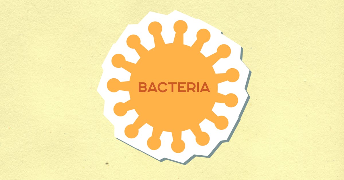 Superbug Shigella On The Rise
