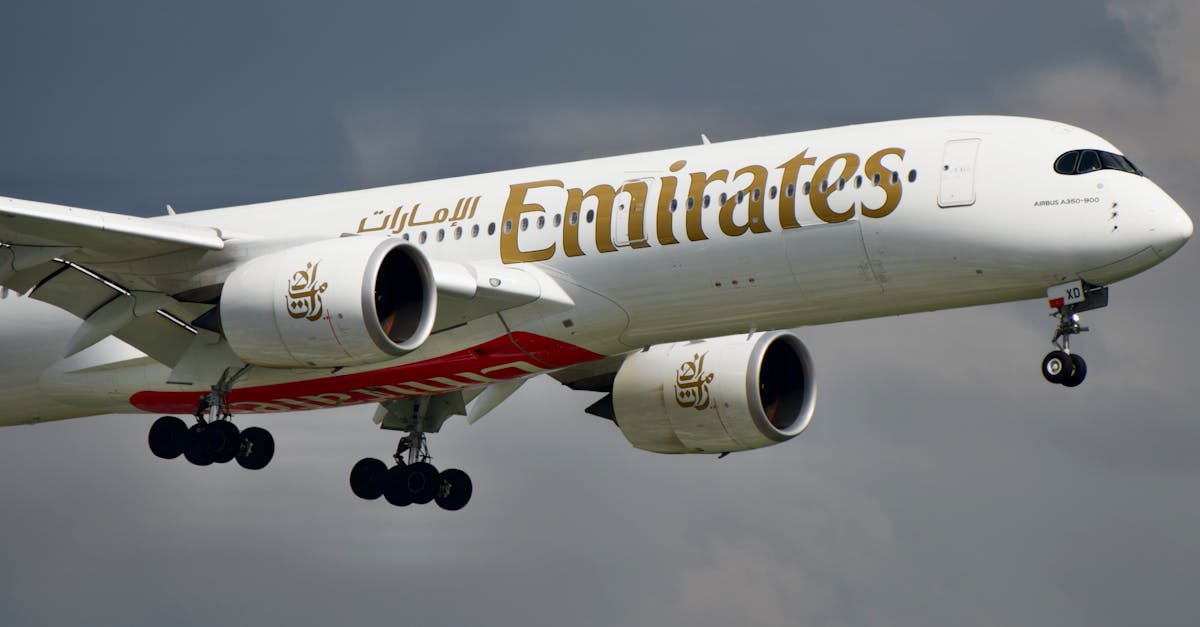 Trump's Influence on Airline Mergers
