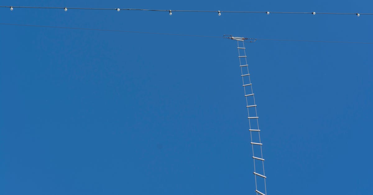 S&P 500 Reaches New Heights