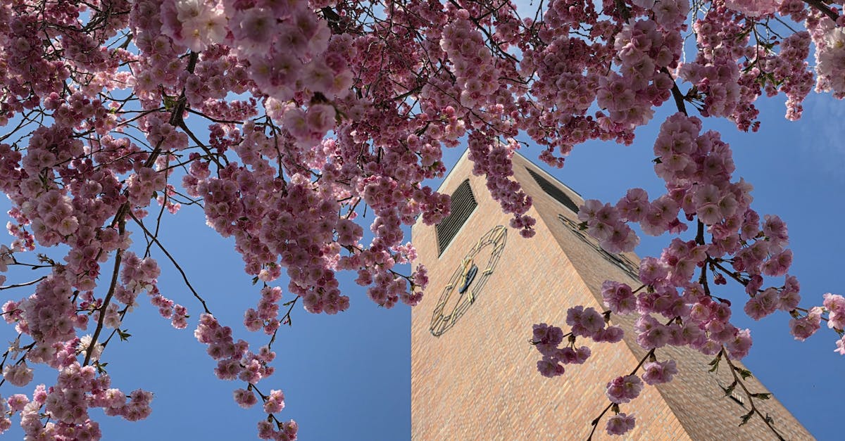 Virginia Tech Spring Game Visitors
