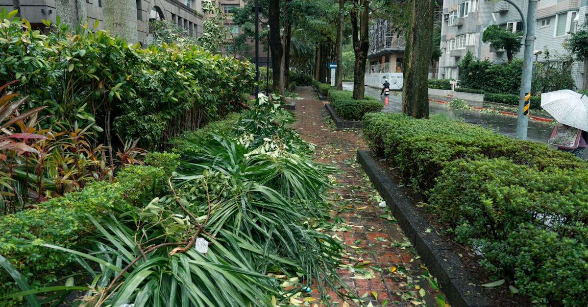 Typhoon Tragedy Unfolds