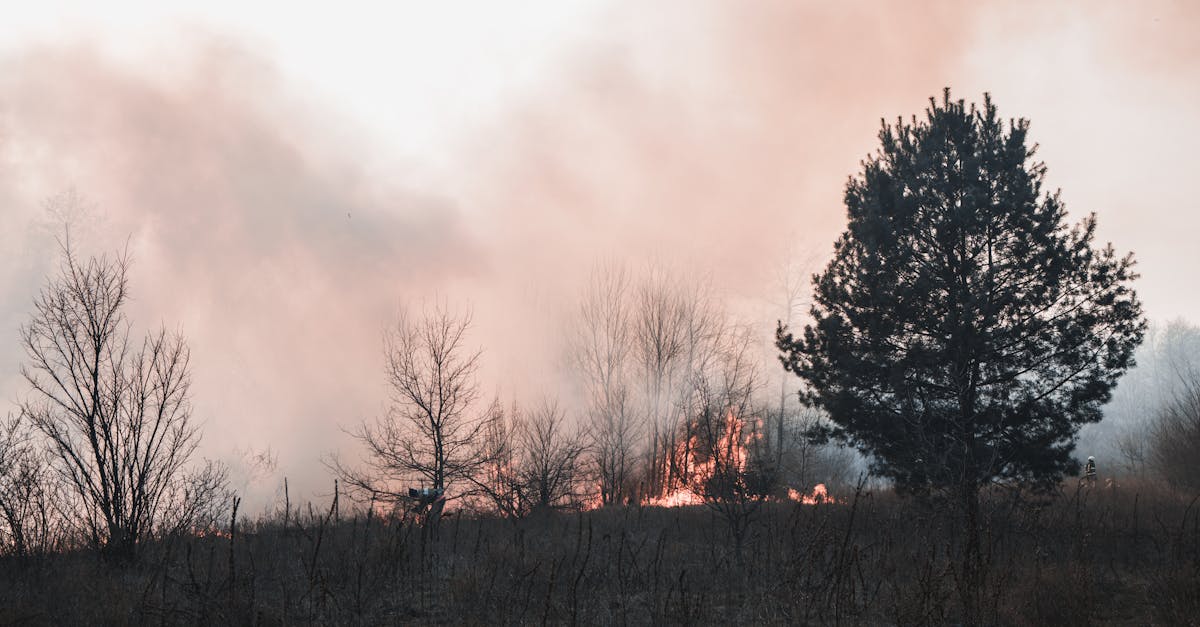 Wildfire Smoke Cancer Risk