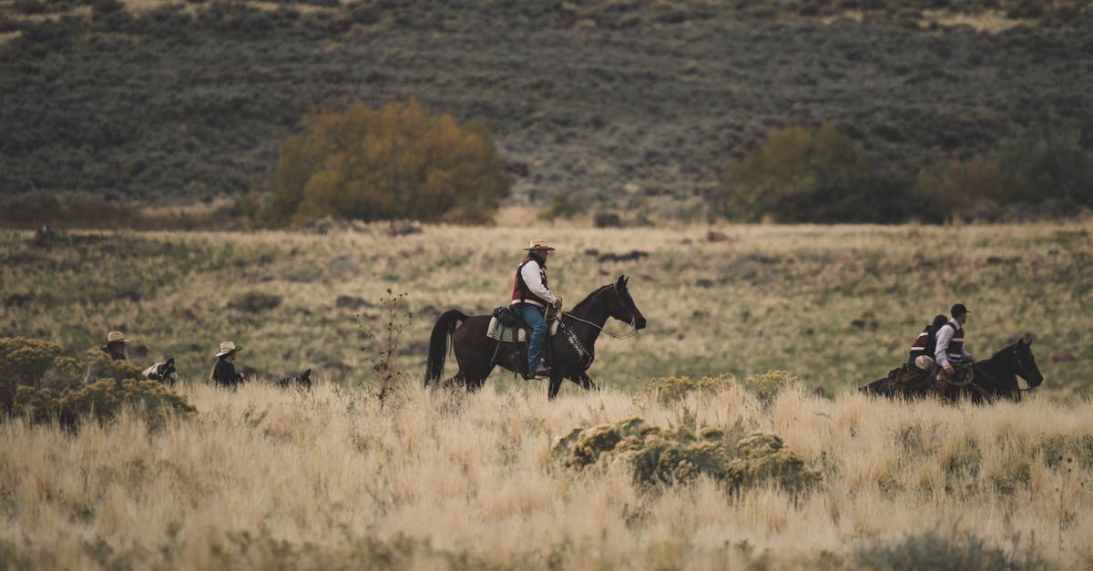 Dutton Ranch Showrunner Exits Ahead of Premiere