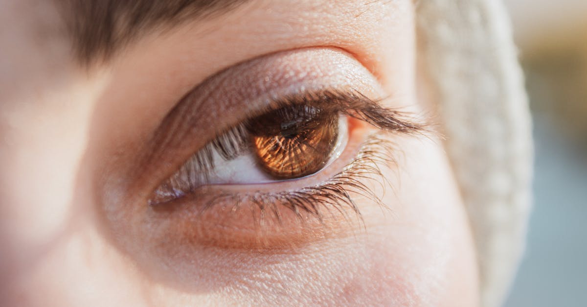Anthropic Eyes $900B Valuation
