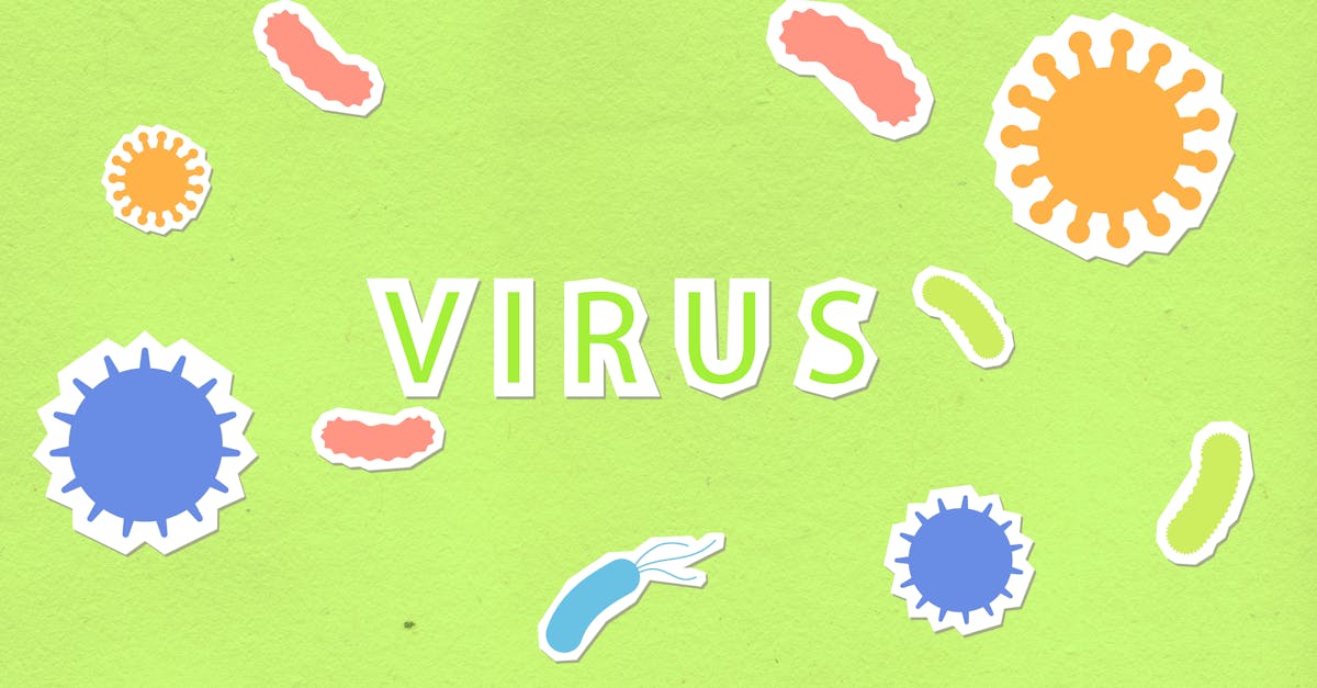 Hantavirus Outbreak Hits Cruise Ship
