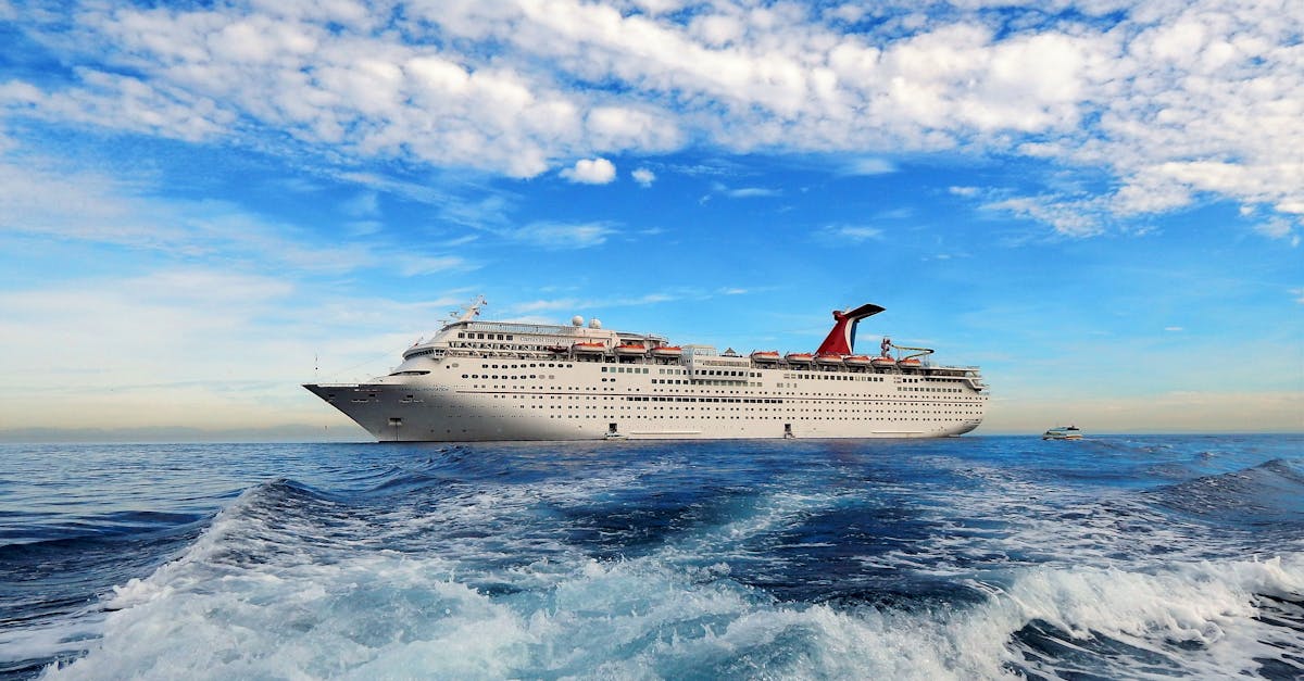 Hantavirus Cruise Outbreak: Experts Weigh In