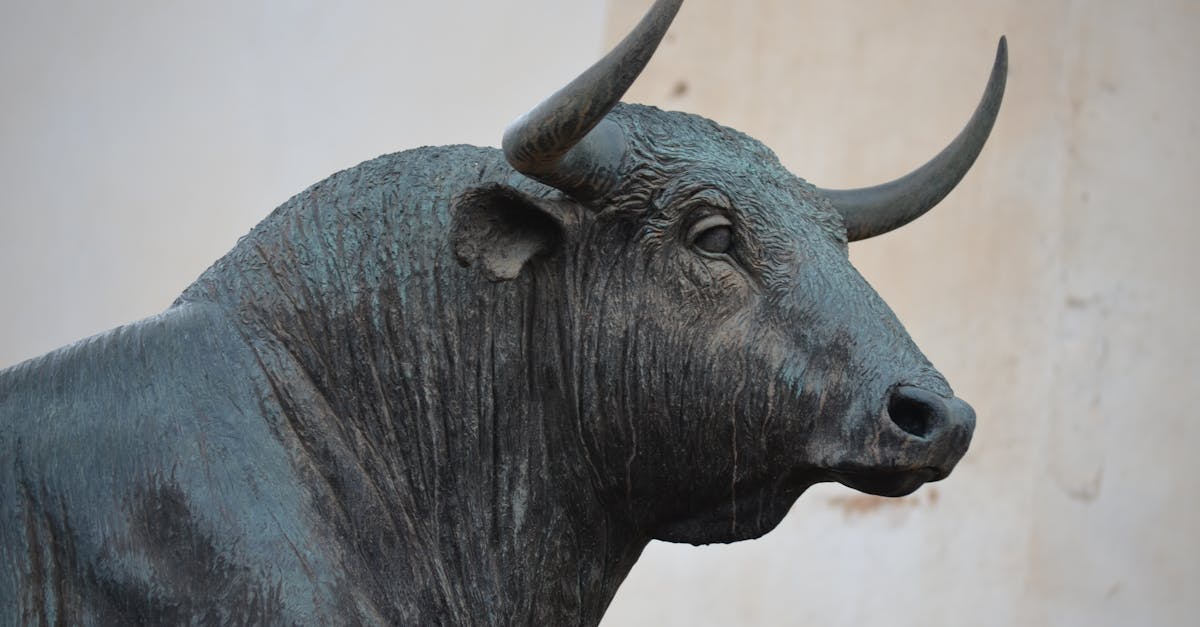 Kospi Bull Case Soars