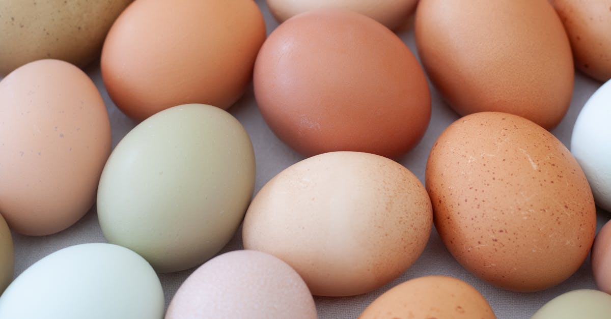 Eggs Linked to Lower Alzheimer's Risk