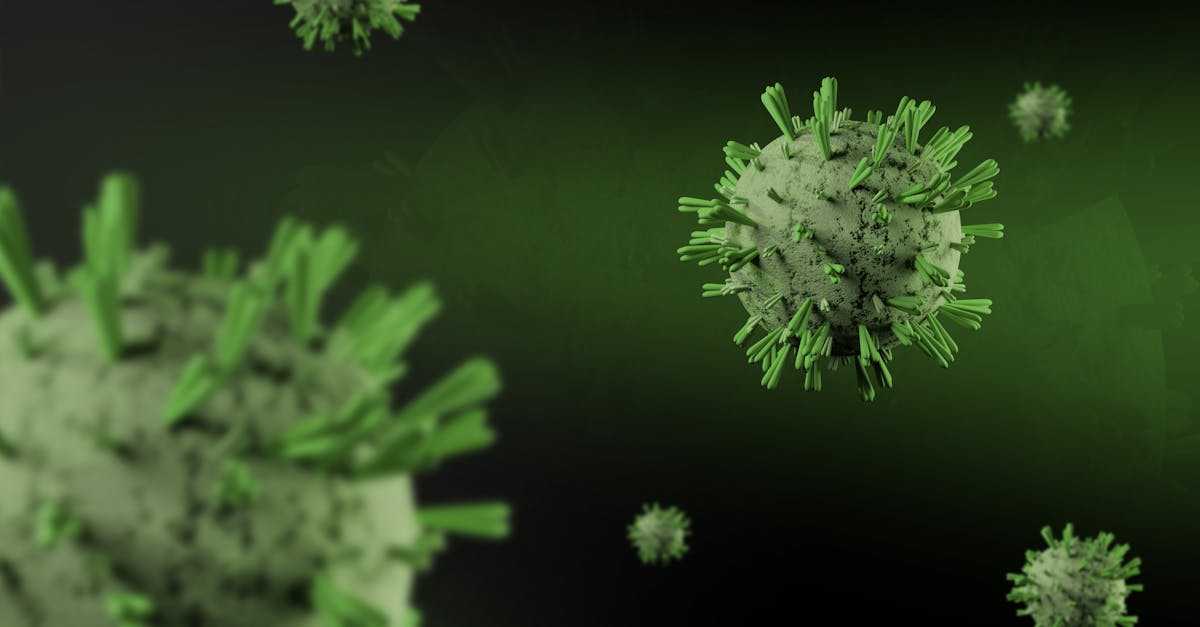 Hantavirus Outbreak Hits Expedition Cruise Industry